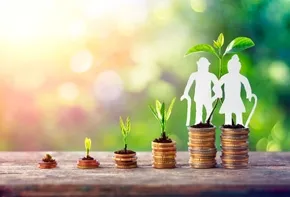 Bireysel Emeklilik Sistemi (BES)